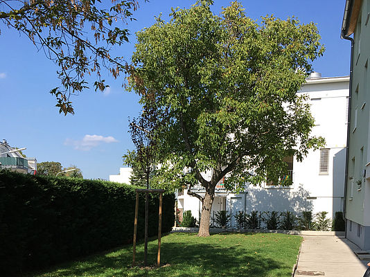 Bergheidengasse_Innenhof