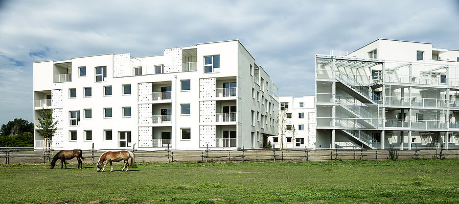 Mühlgrundgasse/Fahngasse 6 in 1220 Wien